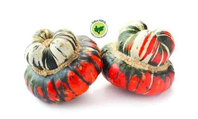 Calabaza de Turbante