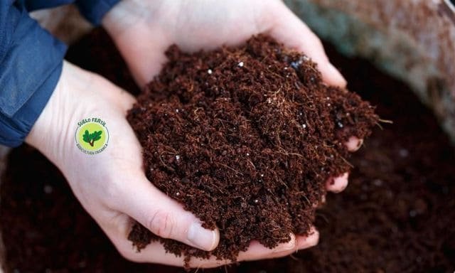 abono orgánico, la mejor solución para suelos infertiles y gastados