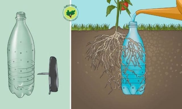 botellas de plástico para regar las plantas