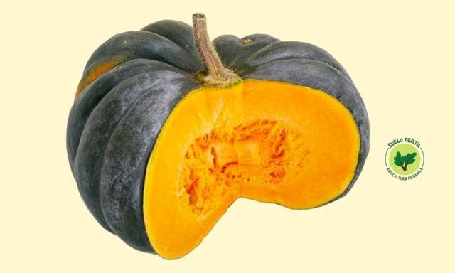 calabaza nuez de moscada