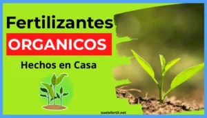 Fertilizantes Orgánicos Caseros, los 7 mejores abonos que puedes hacer facil desde casa