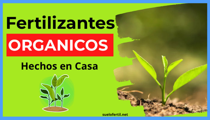 Fertilizantes Orgánicos Caseros, los 7 mejores abonos que puedes hacer facil desde casa