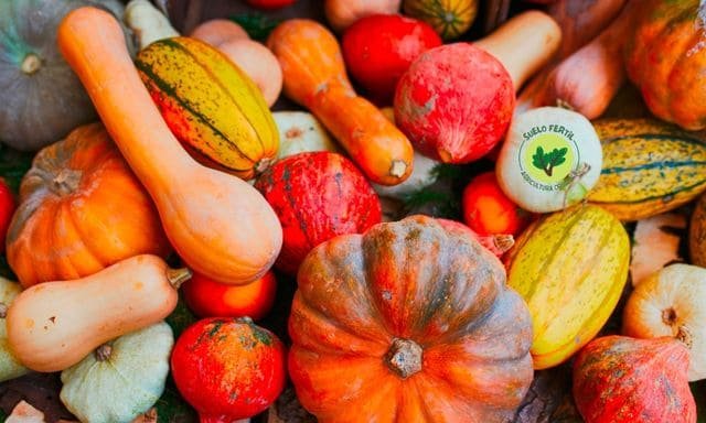 tipos de calabaza