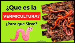 Descubre la vermicultura y su impacto en la fertilidad del suelo