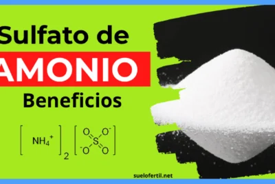Sulfato de Amonio: El fertilizante ideal para potenciar tus cultivos