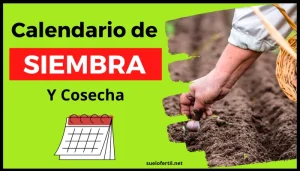calendario de siembra y cosecha, maximiza tus cultivos