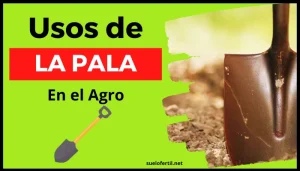 La importancia y versatilidad de la pala en diferentes ámbitos