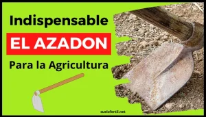 La utilidad del azadón en la agricultura y otros usos