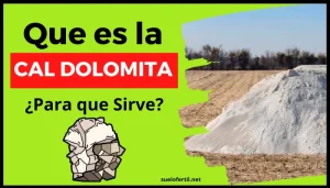 Qué es la cal dolomita y su importancia en los sustratos de cultivo