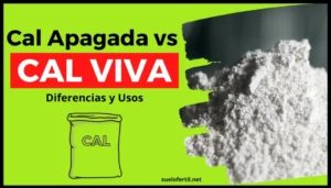 ¿Cual es la diferencia entre cal viva y cal apagada?